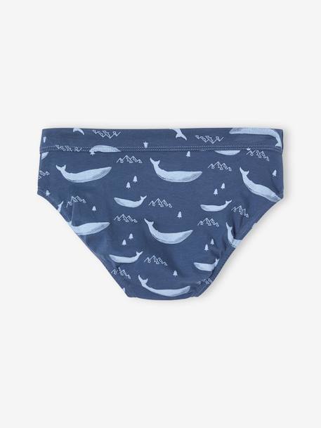 Lot de 7 slips stretch baleines garçon en coton bio bleu ciel 9 - vertbaudet enfant 