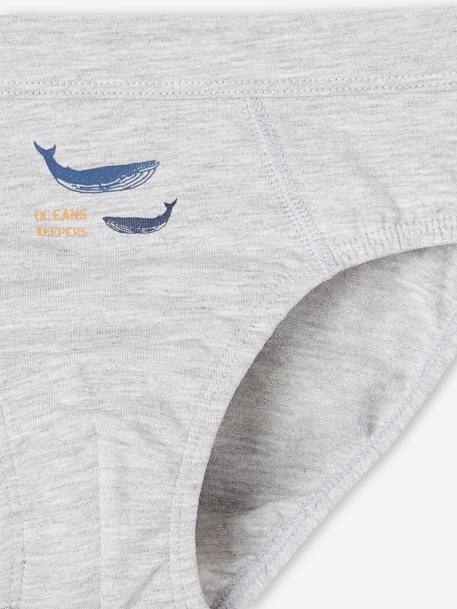 Lot de 7 slips stretch baleines garçon en coton bio bleu ciel 11 - vertbaudet enfant 