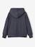 Sweat à capuche garçon bleu ardoise 2 - vertbaudet enfant 