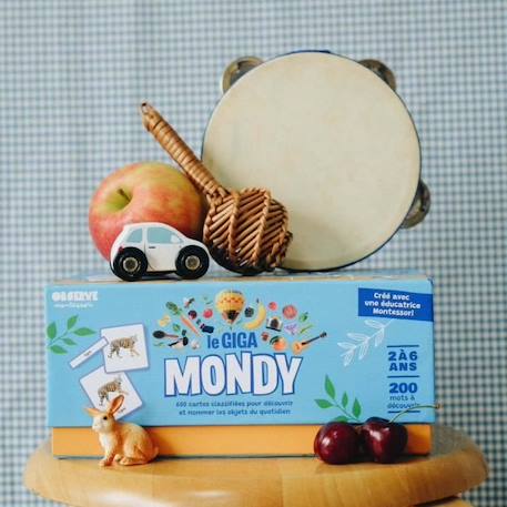 MONDY - 600 Cartes De Nomenclature Montessori Pour Développer Le Langage BLANC 2 - vertbaudet enfant 