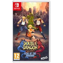 Jouet-Jeux vidéos et multimédia-Double Dragon Gaiden: Rise of the Dragons - Jeu Nintendo Switch