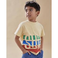 Garçon-T-shirt, polo, sous-pull-T-shirt-T-shirt imprimé "surf" manches courtes, multicolore