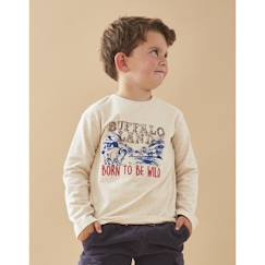 -T-shirt longues manches imprimé "Buffalo land"