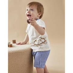 Set t-shirt imprimé tortue + short rayé  - vertbaudet enfant