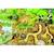 Puzzle en bois Découverte de la nature - GOKI - Moins de 100 pièces - Vert VERT 3 - vertbaudet enfant 