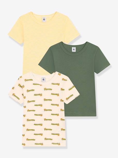 Lot 3 t-shirts manches courtes PETIT BATEAU vert 1 - vertbaudet enfant 