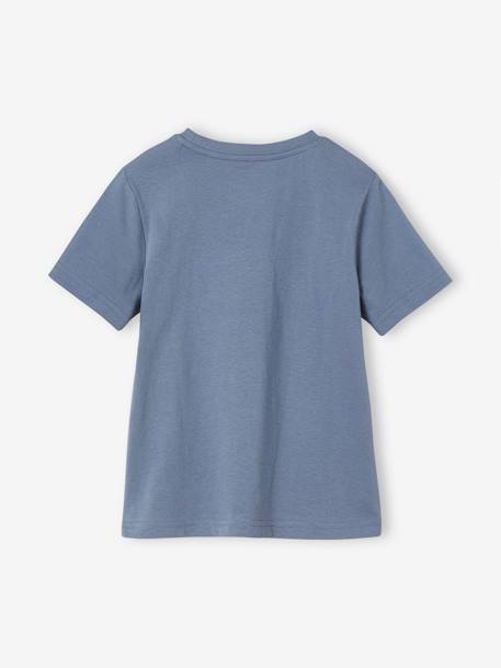 Tee-shirt motif dinosaure garçon bleu grisé+cappuccino 2 - vertbaudet enfant 