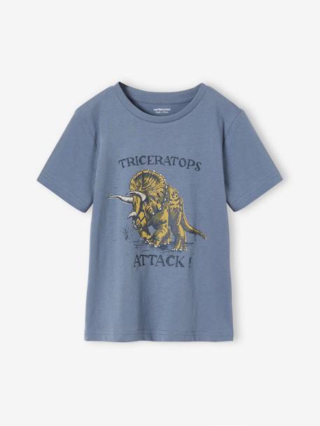 Tee-shirt motif dinosaure garçon bleu grisé+cappuccino 1 - vertbaudet enfant 