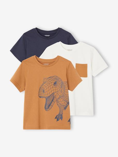 oeko-tex-Garçon-Lot de 3 T-shirts Basics garçon manches courtes