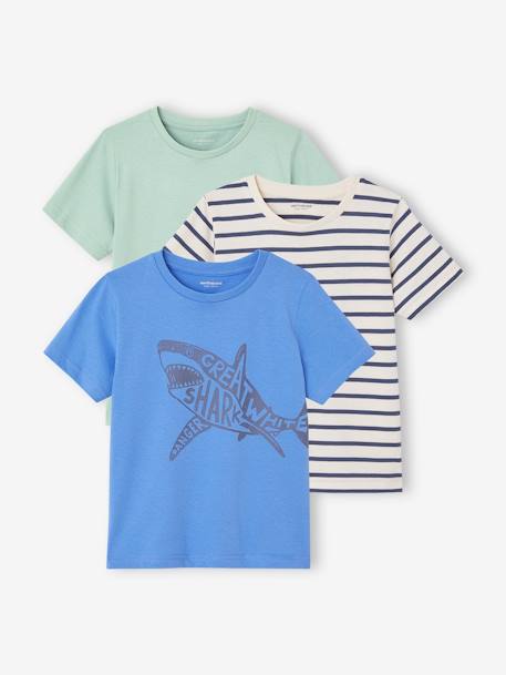 Lot de 3 T-shirts Basics garçon manches courtes blanc chiné+bleu azur+cappuccino+lot vert+vert+vert d'eau 8 - vertbaudet enfant 