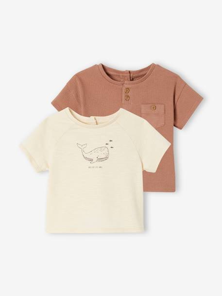 Lot de 2 T-shirts naissance en coton biologique moka 1 - vertbaudet enfant 