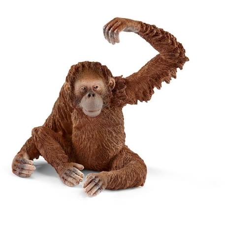 Figurine SCHLEICH - Orang-outan femelle - Jouet éducatif pour enfant MARRON 2 - vertbaudet enfant 