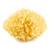 THERMOBABY Eponge de mer honeycomb n°10 JAUNE 1 - vertbaudet enfant 
