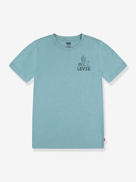 T-shirt graphique garçon Levi's® vert amande 1 - vertbaudet enfant 