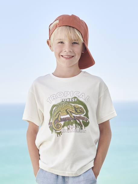 T-shirt motif animalier garçon anthracite+bleu grisé+écru 8 - vertbaudet enfant 