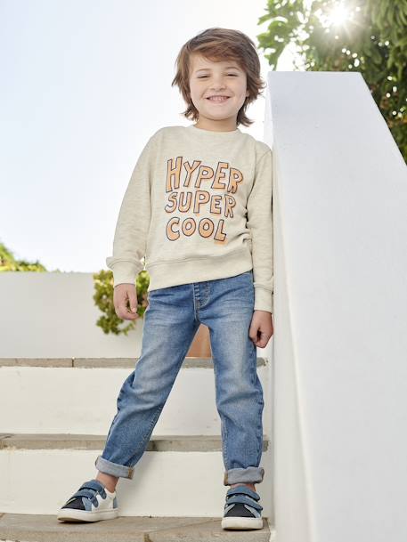 Sweat Basics motif graphique garçon abricot+beige chiné+bleu grisé+pistache 8 - vertbaudet enfant 