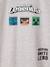 Tee-shirt garçon Minecraft® Legends gris chiné 3 - vertbaudet enfant 