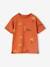 Tee-shirt motif désert garçon abricot 1 - vertbaudet enfant 