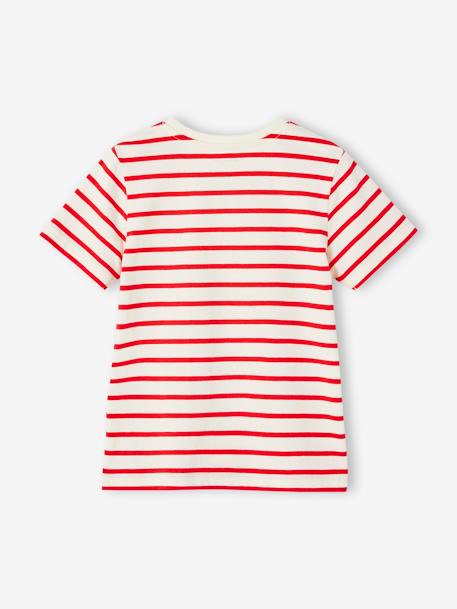T-shirt garçon rayé manches courtes bleu azur+dark bleu indigo rayé+rayé jaune+rayé rouge+sauge rayé 16 - vertbaudet enfant 