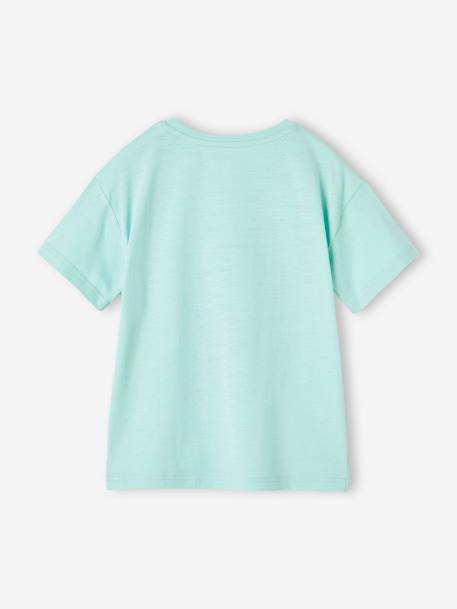 Tee-shirt motif animal ludique garçon blanc+bleu azur+turquoise 11 - vertbaudet enfant 