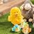 Canard en peluche chanteur - Gipsy Toys - Ducky - Jaune - 24 cm JAUNE 2 - vertbaudet enfant 