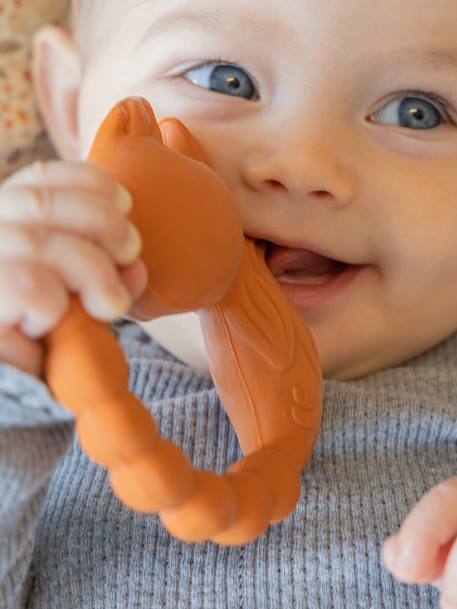 Anneau de dentition - elephant+fox+raccoon+swan 5 - vertbaudet enfant 