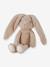 Peluche Lapin - Baby Bunny - LITTLE DUTCH écru 1 - vertbaudet enfant 