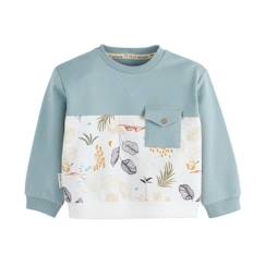 Sweat-shirt garçon Atsou  - vertbaudet enfant