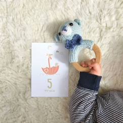 Cartes étapes - mes premiers mois - rose/vert - L'Atelier Gigogne - Capturer les moments magiques de la première année de bébé  - vertbaudet enfant