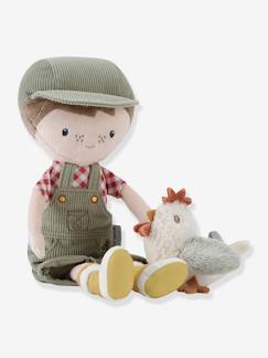 Idées cadeaux bébés et enfants-Jouet-Poupons et poupées-Poupée Jim avec poule - LITTLE DUTCH