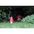 Lampe à poser / Veilleuse LED Grand Champignon Rouge H30cm - EGMONT TOYS - Enfant - Mixte - Plastique - Rouge ROUGE 3 - vertbaudet enfant 