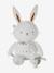Grande peluche d'activités lapin DANS LES BOIS vert sauge 5 - vertbaudet enfant 