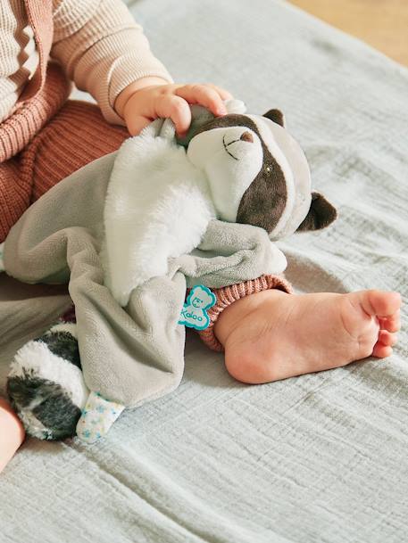 Doudou raton Gaston - raton laveur 1 - vertbaudet enfant 