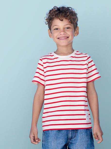 T-shirt garçon rayé manches courtes bleu azur+dark bleu indigo rayé+rayé jaune+rayé rouge+sauge rayé 14 - vertbaudet enfant 