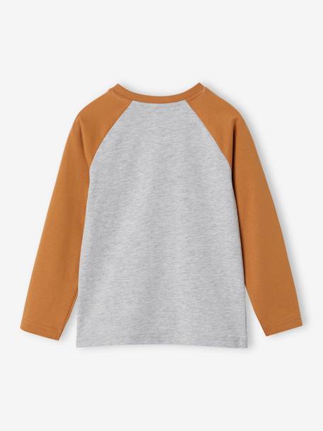 T-shirt motif graphique garçon manches raglan blanc chiné+kaki+lichen+noix de pécan 13 - vertbaudet enfant 