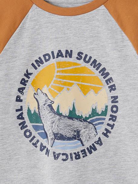 T-shirt motif graphique garçon manches raglan blanc chiné+kaki+lichen+noix de pécan 14 - vertbaudet enfant 