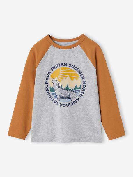 T-shirt motif graphique garçon manches raglan blanc chiné+kaki+lichen+noix de pécan 12 - vertbaudet enfant 