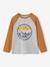 T-shirt motif graphique garçon manches raglan blanc chiné+kaki+lichen+noix de pécan 12 - vertbaudet enfant 