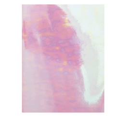 Jouet-Activités artistiques et musicales-Bullet journal couverture souple Acid Leo - 16 x 21 cm