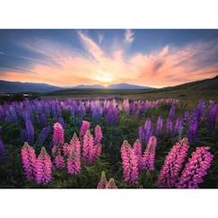 Puzzle 500 pièces Les lupins (Nature edition) - Ravensburger - Paysage et nature - Adultes et enfants dès 12 ans  - vertbaudet enfant