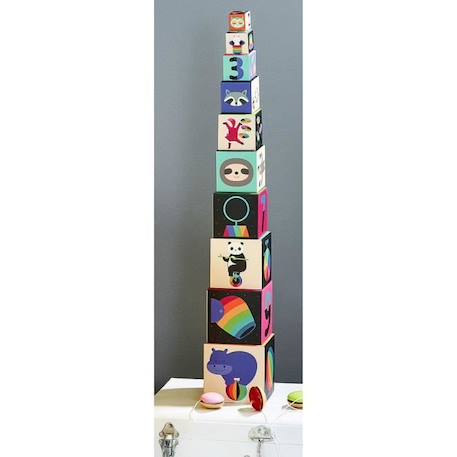 Cubes Gigognes Vilac - Andy Westface - 10 cubes illustrés avec animaux de cirque et objets associés - Dès 2 ans ROSE 2 - vertbaudet enfant 