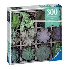 -Ravensburger - Puzzle Moment Green 300 pièces