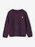 Pull fille maille perlée animation badge irisé anthracite+violet 4 - vertbaudet enfant 
