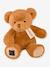 Peluche le nounours - noisette+vanille 1 - vertbaudet enfant 