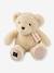 Peluche le nounours - noisette+vanille 2 - vertbaudet enfant 
