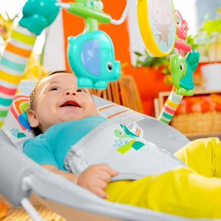 BRIGHT STARTS Transat bébé Animaux, Vibrations apaisantes, Arche d'éveil avec jouets interactifs BLANC 5 - vertbaudet enfant 