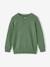 Pull garçon col tunisien vert chiné 1 - vertbaudet enfant 