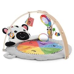 Jouet-Premier âge-BABY EINSTEIN Tapis d'éveil Ocean Explorers, avec arche de jeu en bois et jouets multisensoriels