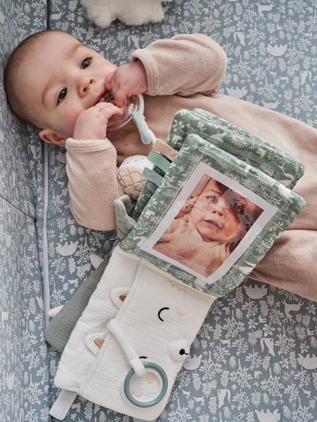 Livre d'éveil et photos DANS LES BOIS vert sauge 8 - vertbaudet enfant 