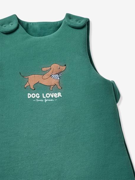 Gigoteuse Manches Longues Vertbaudet Petit Renard Rayé Vert Oeko-Tex® - Parfaite Pour Bébé 0-6 Mois